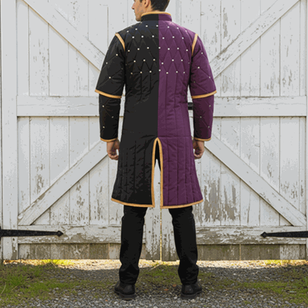 Twin Color Ren faire Costume , Viking Gambeson ,