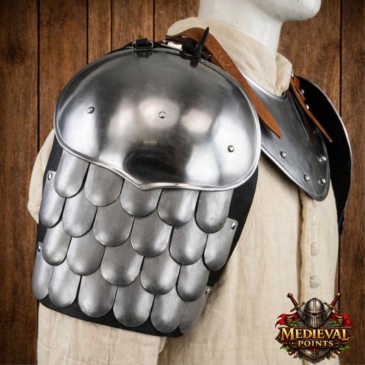 Pauldrons Armor with Scale Armor, Shoulder Armour set