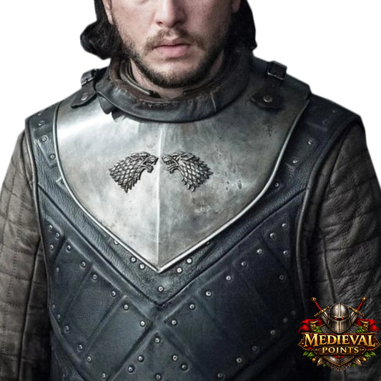 Medieval Gorget : Game of Thrones Armour , 18 Gauge Neck Gorget | HEMA LARP Reenactment Cosplay
